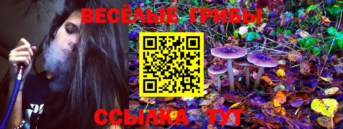 Аша  Псилоцибиновые грибы GOLDEN TEACHER  Вход с VPN 