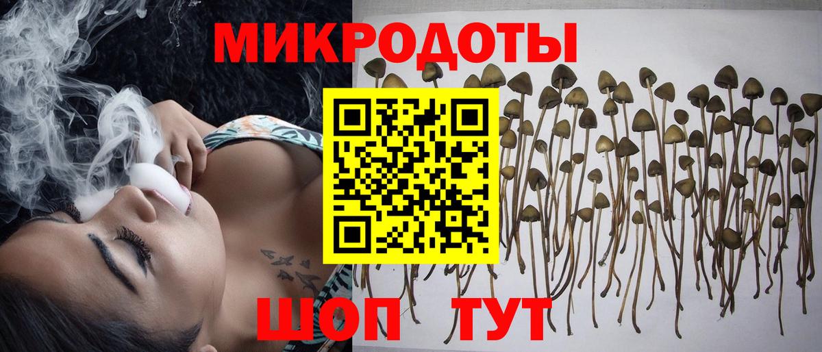 Галлюциногенные грибы прущие грибы Аша